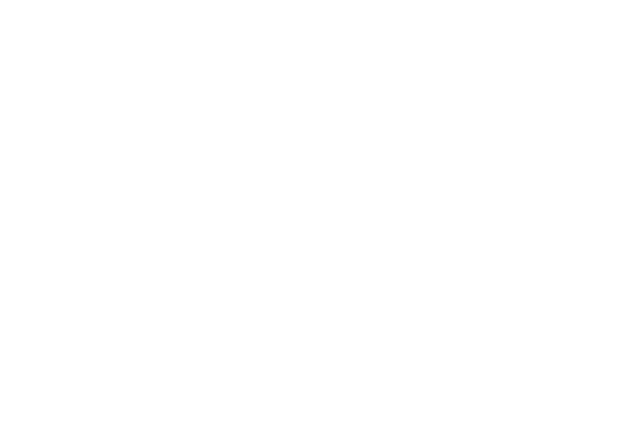 blaze white logo